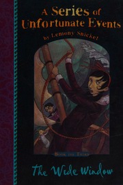 Cover of edition widewindow0000snic_j5q3