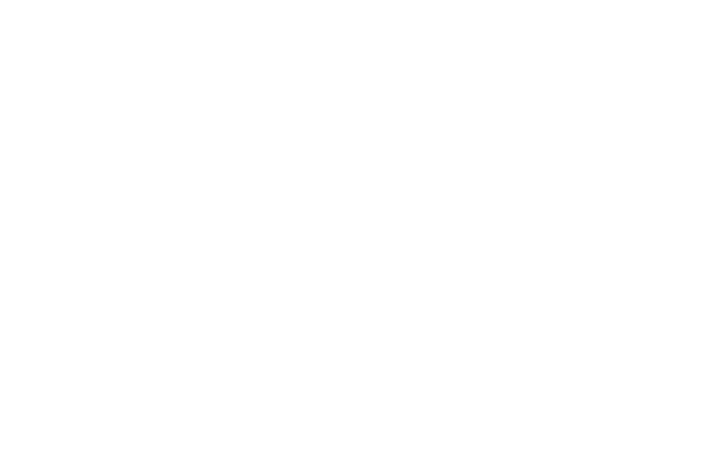 THE BLUE HEARTS 30TH ANNIVERSARY