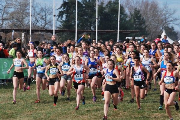 26/02: France de Cross à St Galmier...