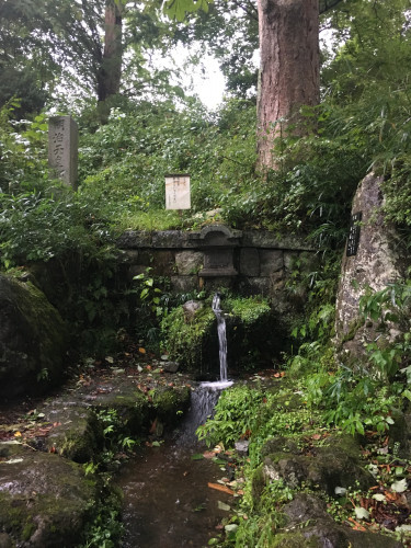 本日の湧き水