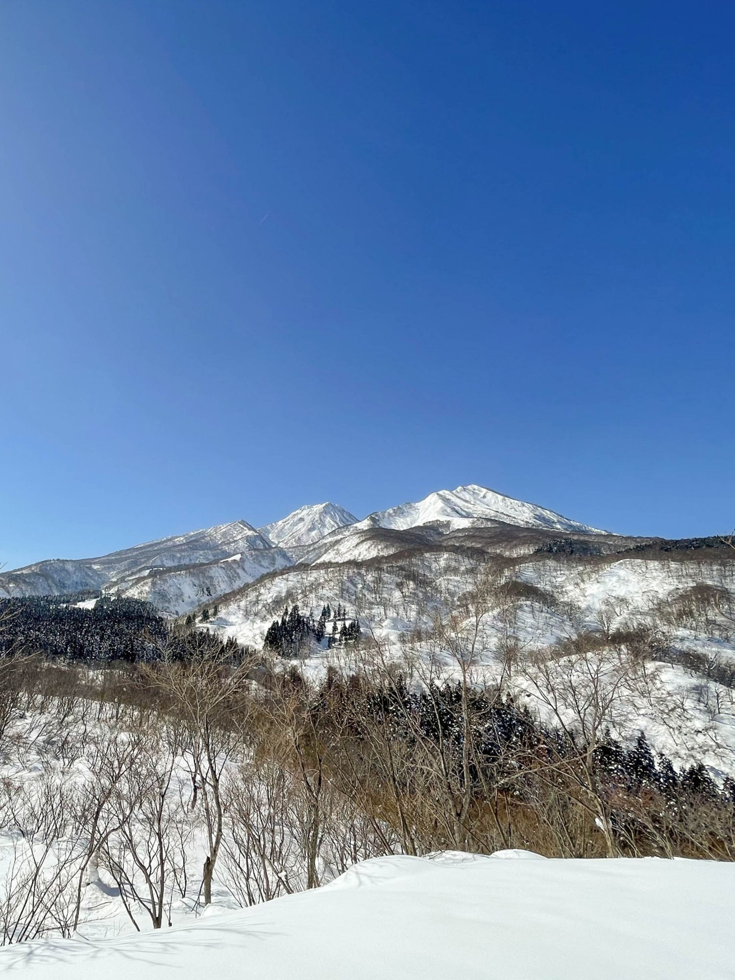 スノーシューでいく冬の妙高山麓