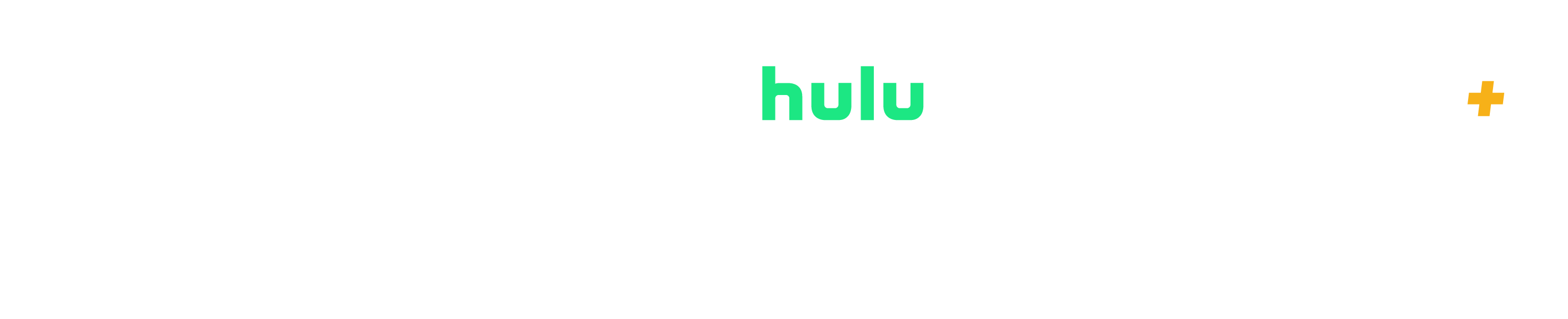 Disney+ DISNEY BUNDLE