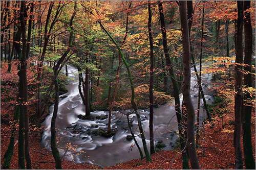 Hidden Horseshoe