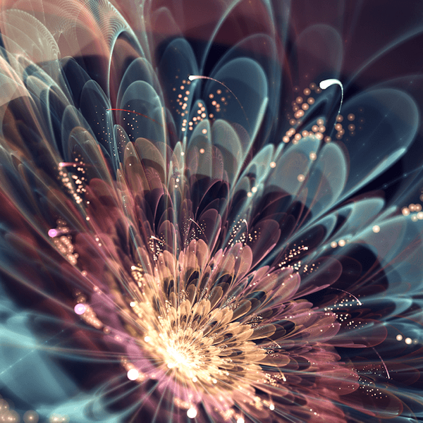 Fractal Flowers