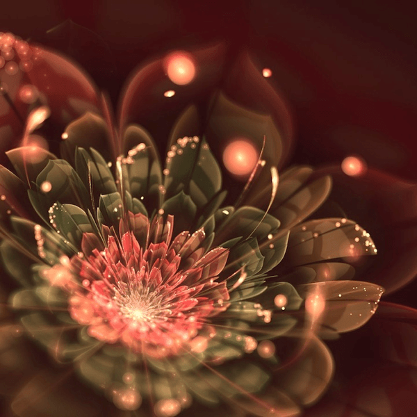 Fractal Flowers