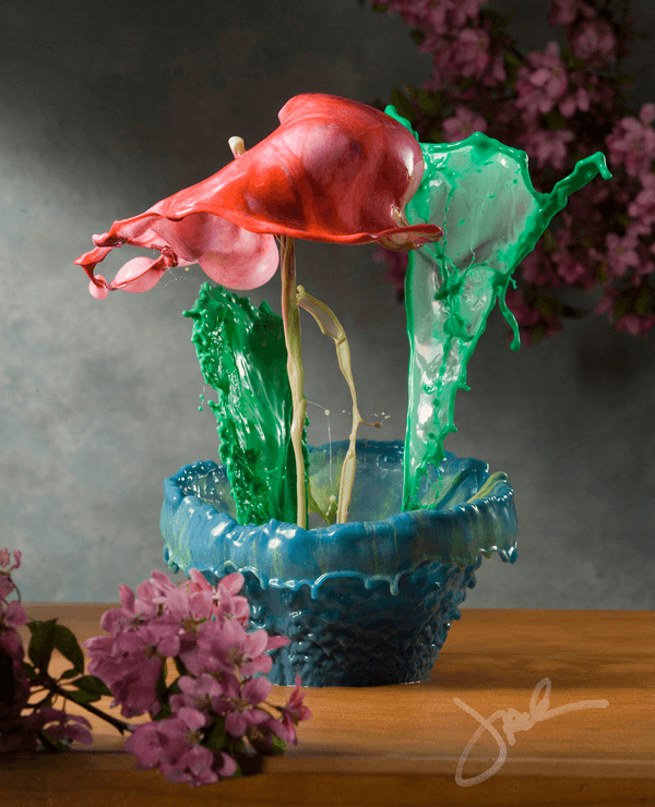 High Speed Liquid Flowers