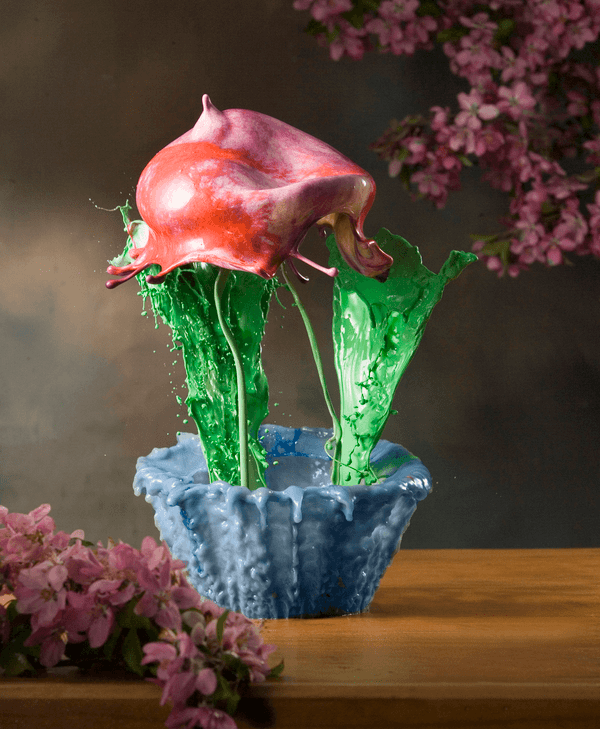 High Speed Liquid Flowers