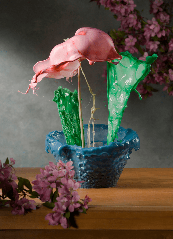 High Speed Liquid Flowers