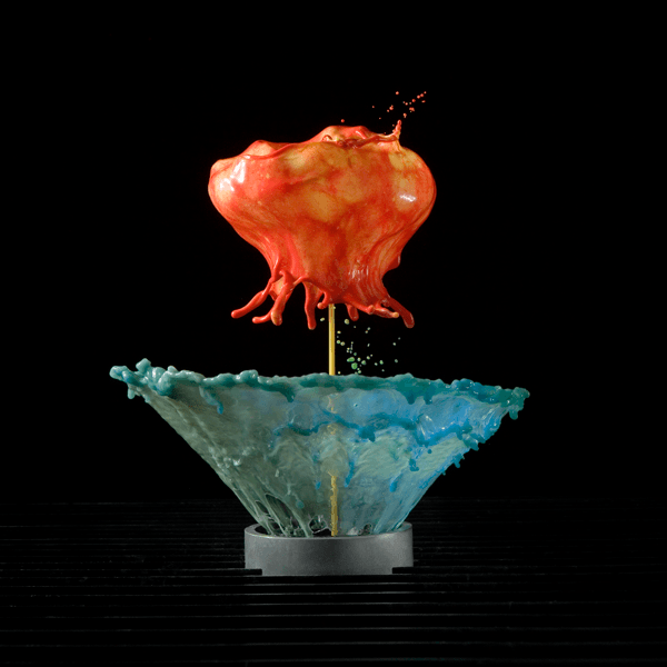 High Speed Liquid Flowers