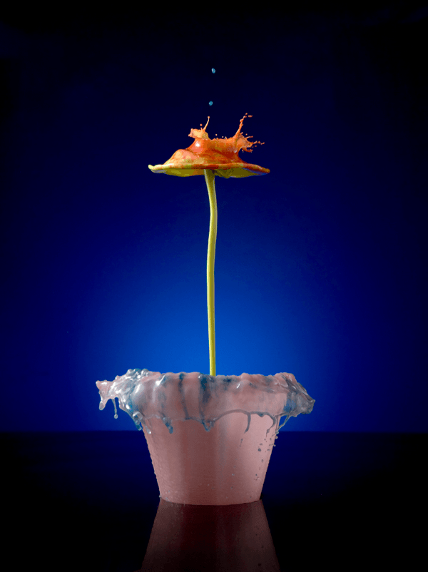 High Speed Liquid Flowers