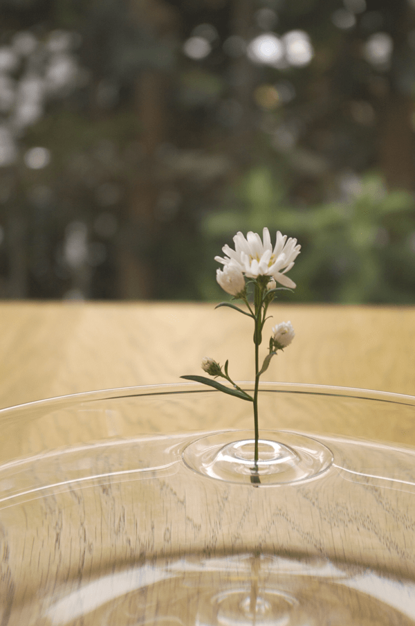 Floating Vase RIPPLE