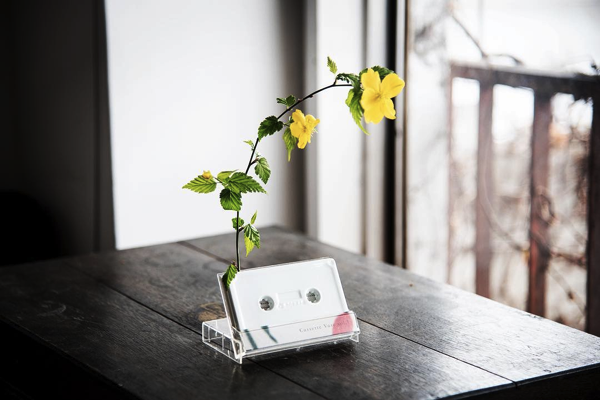 cassette vase