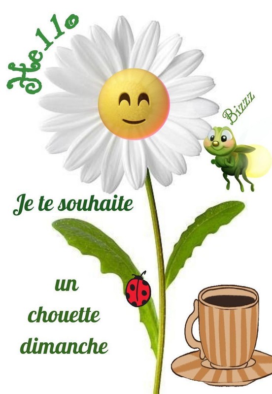 Hello