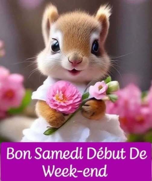 Bon week