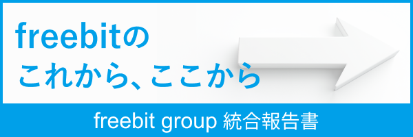 freebit group 統合報告書