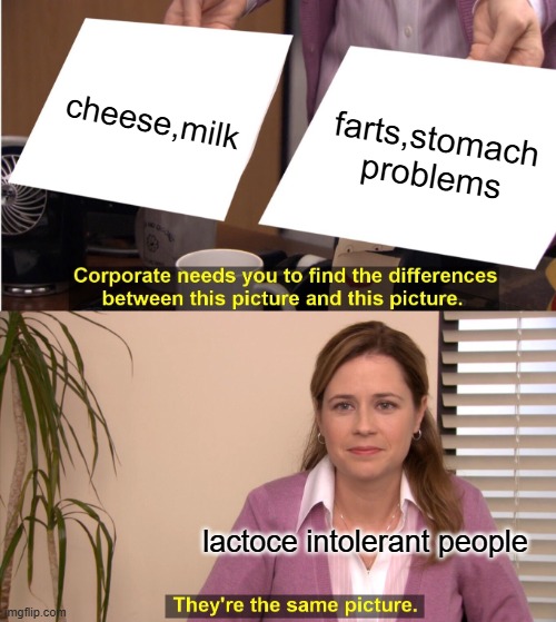 like ME | cheese,milk; farts,stomach problems; lactoce intolerant people | image tagged in memes,they're the same picture | made w/ Imgflip meme maker