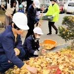 イチョウの落ち葉を拾い集める児童ら＝氷丘南小学校