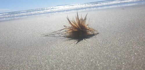 Relax Waihi Beach Style.