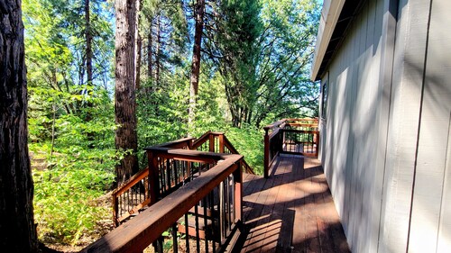 Forest View Cabin: 4 Bedroom, Family/Pet-Friendly, w/Heat & AC, King bed, Hiking