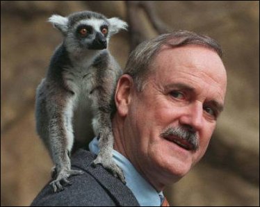 Cleese-lemur.jpg