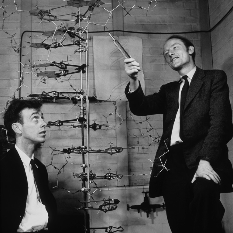 Black and white image of James Watson and Francis Crick with their model of part of a DNA molecule, 1953