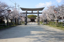 3月下旬から4月上旬にかけて桜を見頃を迎える