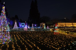 LED電球5万球を超える幻想的なイルミネーション ※画像は2022年・2023年のもの