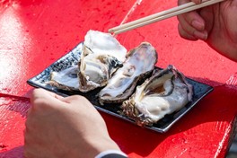 産地の異なる牡蠣を食べ比べできる