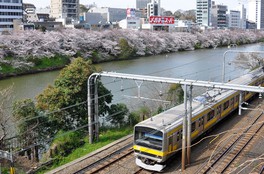 川面に映る桜の景色も趣き深い