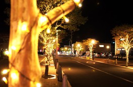 鮮やかなイルミネーションが駅周辺を彩る※過去の写真