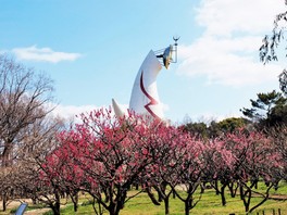 梅越しに見る太陽の塔の存在感は圧巻