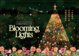 「Blooming Lights」キービジュアル