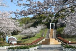 広々とした園内は各所で花見を楽しめる