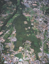 上空から見た箕輪城跡の全景