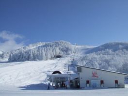 蔵王名物の樹氷も見ることができる