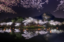 大規模にライトアップされた御船山公園は息をのむ美しさ