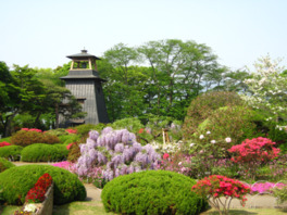 桜やツツジなどを多くの花々が楽しめる