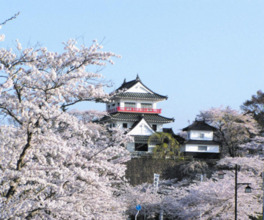 天守閣を模した史料館がある桜の名所