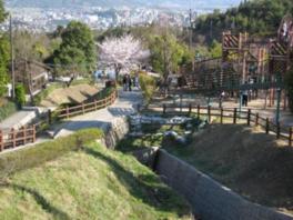 さまざまなアウトドアが楽しめる見晴らし抜群の公園