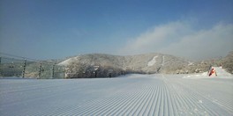 センターハウス近くは初心者や家族連れにおすすめ