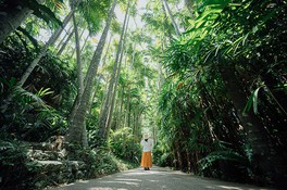 美らヤシパークオキナワ・東南植物楽園