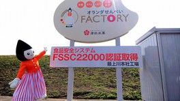 オランダせんべいFACTORY