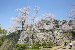 宮崎県を代表する近世城郭