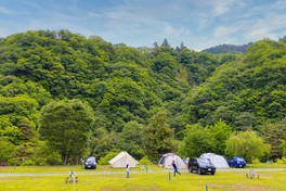 山遊びも川遊びもできる好立地