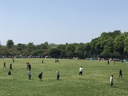 とても開放感のある公園となっている