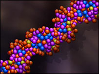 DNA molecule (BBC)