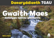 Title: Daearyddiaeth TGAU: Gwaith Maes - Datblygu Sgiliau Ymchwilio, Author: Simon Ross