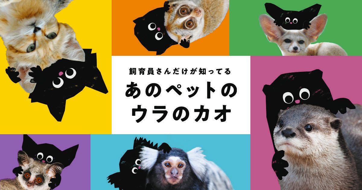 WWFジャパンが野生動物のペット利用見直しを呼びかけるキャンペーンで使っている画像（WWFジャパン提供）