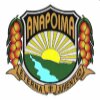 Official seal of Anapoima