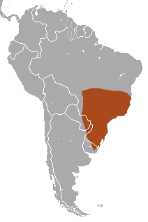 Distribución de C. tatouay